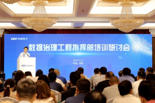 数据治理新篇章 中国系统承办的德阳培训研讨会圆满落幕